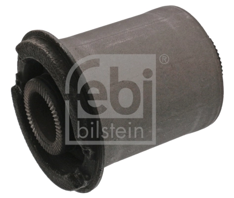 Mounting, control/trailing arm